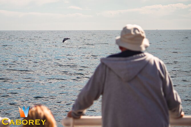 Cabo Whale Watch Three-Level Vessel and Majestic Arch - What this Cabo cruise is really offering