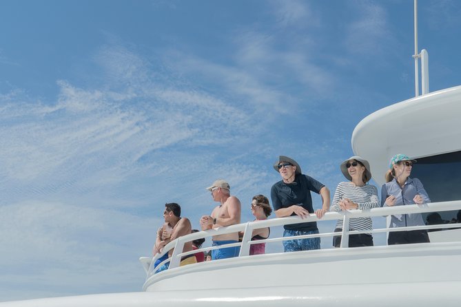 Cabo Whale Watch Three-Level Vessel and Majestic Arch - Three levels, 350-person capacity