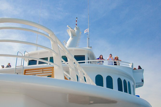Cabo Whale Watch Three-Level Vessel and Majestic Arch - Is $95 a fair price?