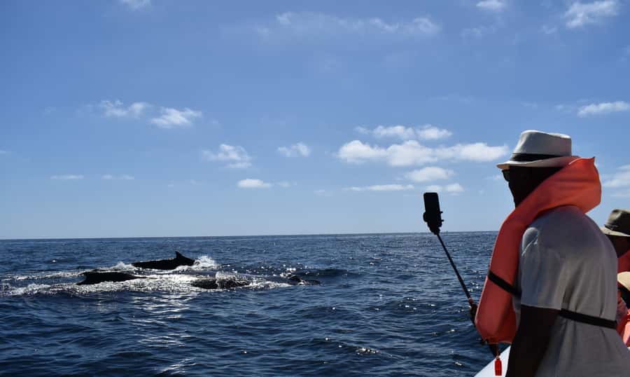 Cabo: Whale-Whatching Boat Trip w/ All-Women Crew and Photos - What the small boat feels like on the water
