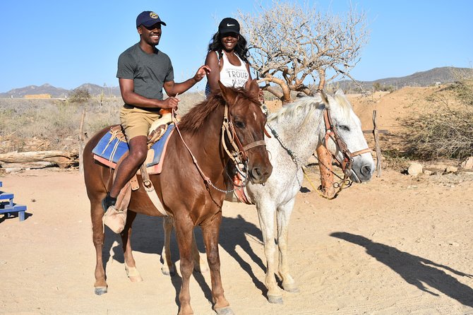 Cabo White Sand Horseback Riding Tour and Tequila Tasting - Whale watching from horseback