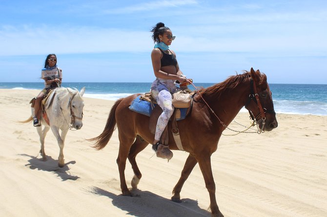 Cabo White Sand Horseback Riding Tour and Tequila Tasting - The tequila tasting and the sales pitch