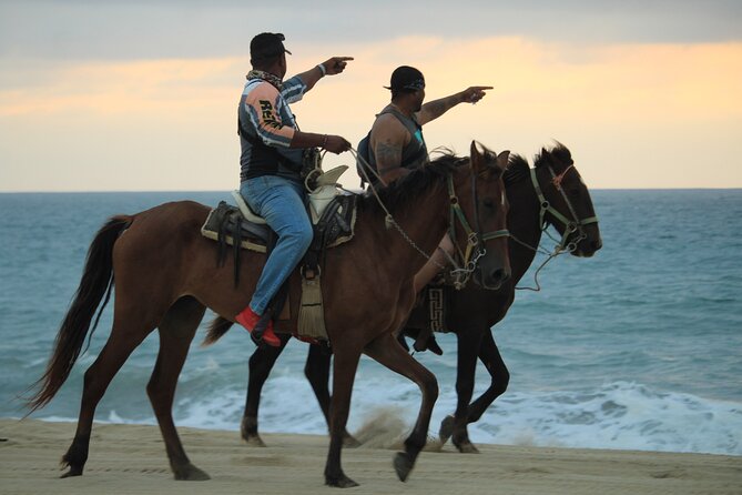 Cabo White Sand Horseback Riding Tour and Tequila Tasting - The real cost of this Cabo ride