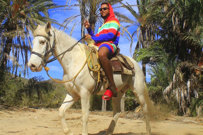 Cabo White Sand Horseback Riding Tour and Tequila Tasting - Pickup, dirt roads, and practical timing