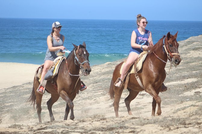 Cabo White Sand Horseback Riding Tour and Tequila Tasting - Who should book this experience?