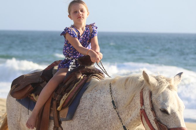 Cabo White Sand Horseback Riding Tour and Tequila Tasting - What the two-hour schedule really means