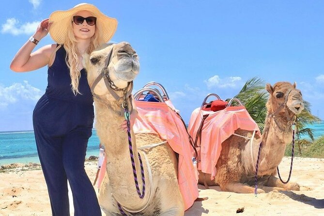Camel Expedition and Beach Club In Riviera Maya - Feeding the camels and meeting the photographers