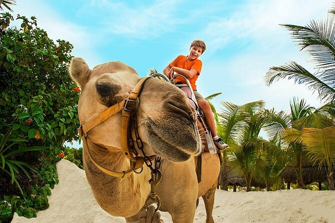 Camel Expedition and Beach Club In Riviera Maya - Maroma Beach is more than a quick backdrop