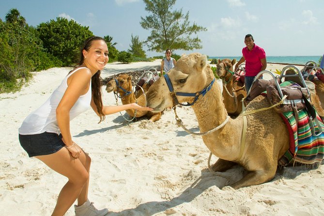 Camel Expedition and Beach Club In Riviera Maya - Who should consider this outing
