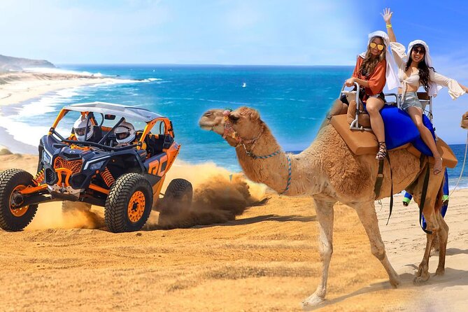 Camel Ride and UTV Combo Adventure, with Tequila Tasting - Key points to know before you book