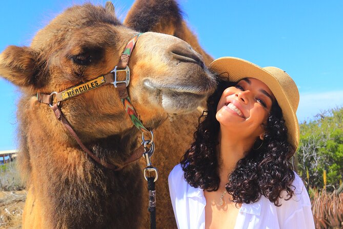 Camel Ride and UTV Combo Adventure, with Tequila Tasting - From Cabo to Rancho de Migriño