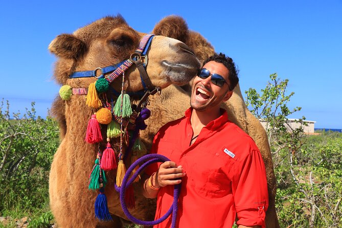 Camel Ride and UTV Combo Adventure, with Tequila Tasting - The extra charges that change the value