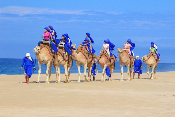Camel Ride and UTV Combo Adventure, with Tequila Tasting - Tequila tasting at the end