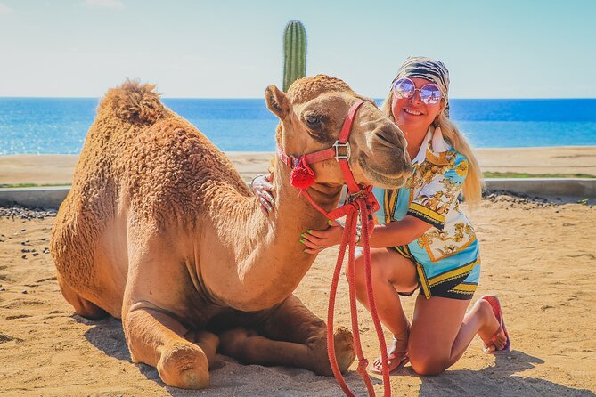 Camel Ride and UTV Combo Adventure, with Tequila Tasting - Who will enjoy this Cabo combo?