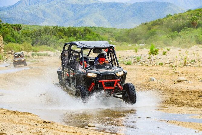 Camel Ride and UTV Combo Adventure, with Tequila Tasting - Should you book the camel and UTV combo?