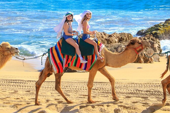 Camel Ride and UTV Combo Adventure, with Tequila Tasting - A gentle start with camels at Migriño Beach