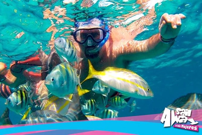 Cancun Adults Only Party Cruise to Isla Mujeres with Open Bar - Snorkeling in a busy Caribbean setting