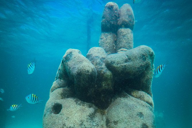 Cancun Adventure: Reef Snorkeling & Parasailing Experience - Four snorkeling stops, four different reasons to get in the water