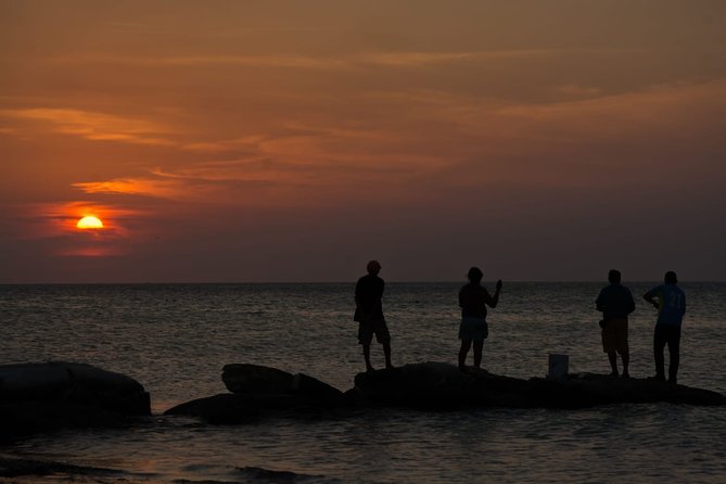 Cancun Airport to Holbox Transportation Private - Who should book this Holbox transfer?