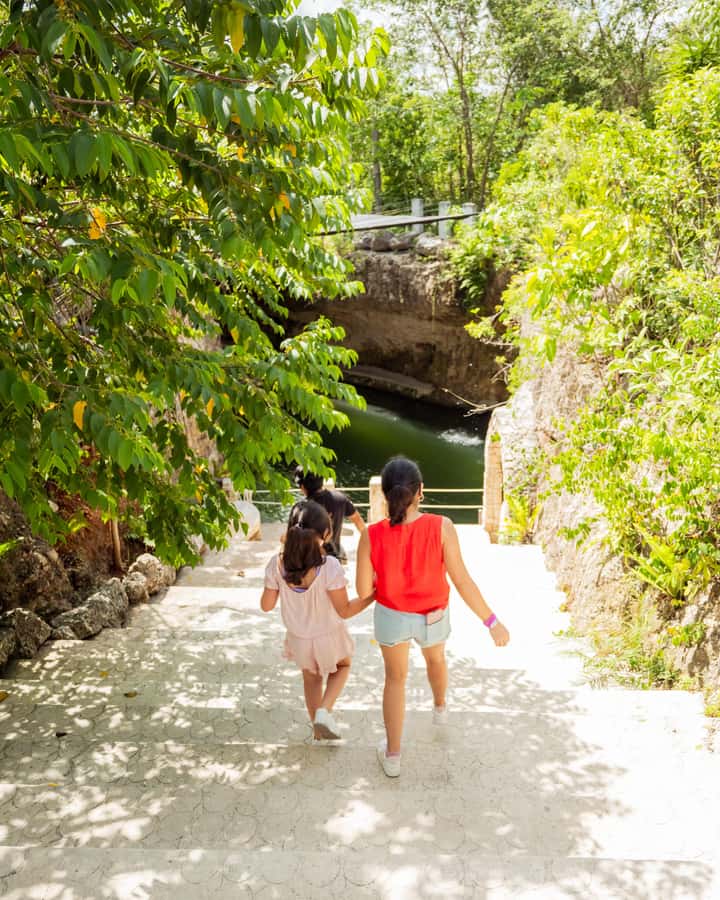 Cancun: Cenotes El Retoño entrance with transportation, lunch, and guided tour. - Who should book this experience?