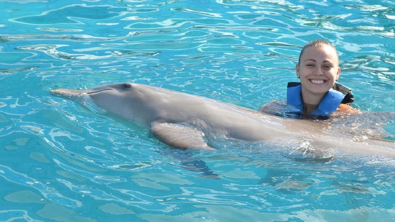 Cancún: Dolphin Encounter on Isla Mujeres with Buffet - Key Points Before You Book