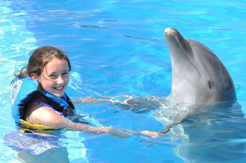 Cancún: Dolphin Encounter on Isla Mujeres with Buffet - What Happens at the Underwater Platform