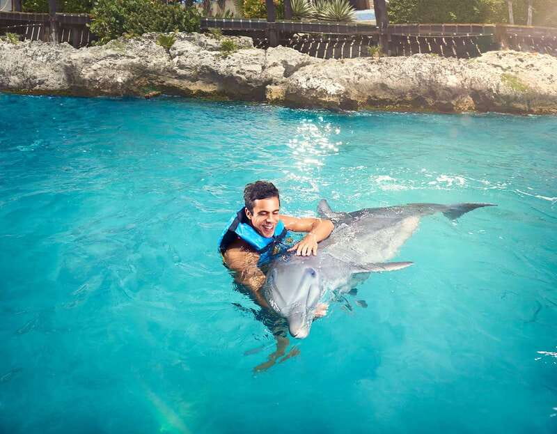 Cancún: Dolphin Encounter on Isla Mujeres with Buffet - The 9:00 AM Ferry From Playa Langosta