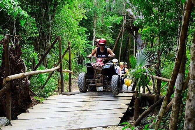 Cancun Horseback Riding, ATV, Ziplines, Cenote, Lunch and Drinks - The cenote brings the best splash of the day