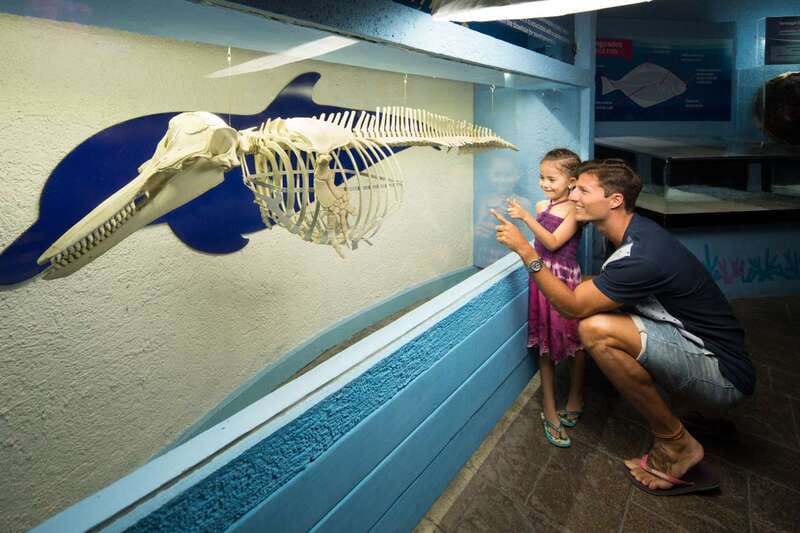 Cancún: Interactive Aquarium Admission - A small aquarium with a useful hands-on feature