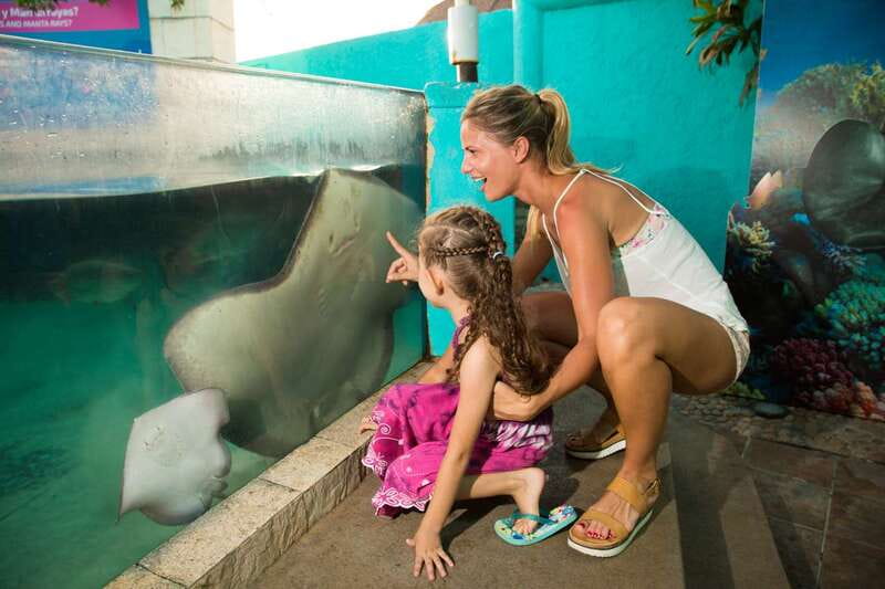 Cancún: Interactive Aquarium Admission - The fish tanks and 1,195 specimens