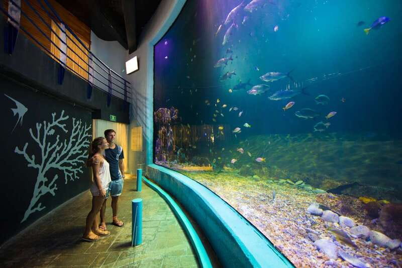 Cancún: Interactive Aquarium Admission - Touch tanks with rays, starfish, and sea urchins