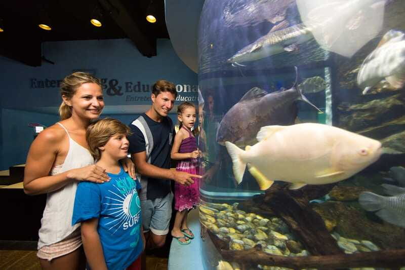 Cancún: Interactive Aquarium Admission - How much time should you allow?
