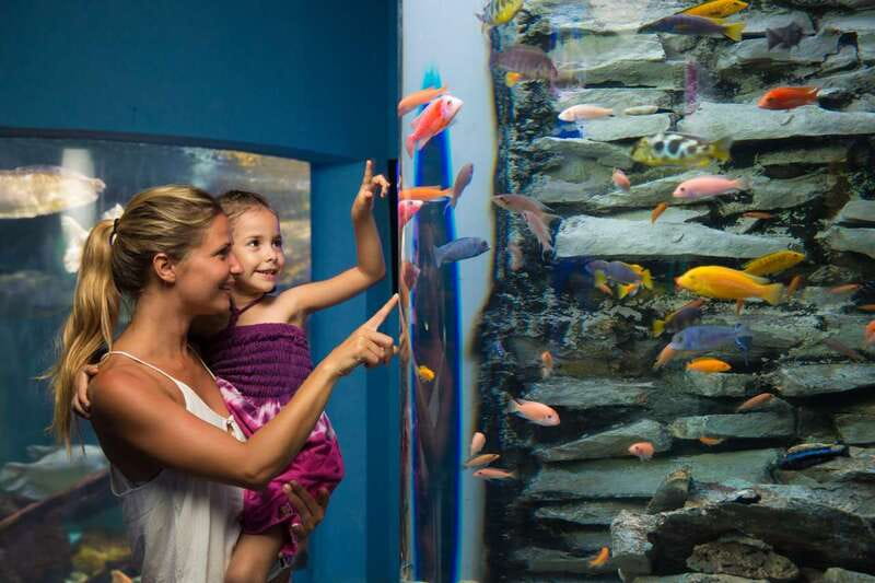 Cancún: Interactive Aquarium Admission - Is $17 good value?