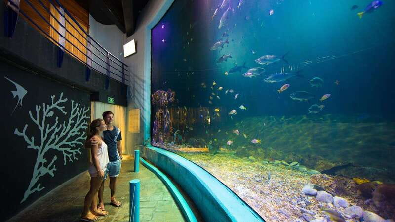 Cancún Interactive Aquarium Admission + Dolphin Presentation - Starting at Plaza La Isla in Cancun