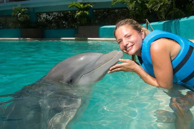 Cancun: Interactive Aquarium - Swim with Dolphins Splash - Key points before you book