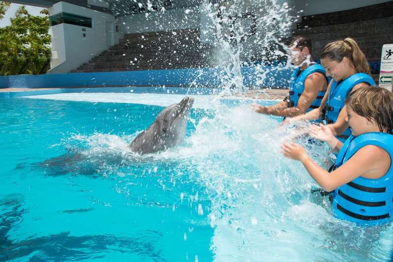 Cancun: Interactive Aquarium - Swim with Dolphins Splash - Meeting the dolphins at Plaza La Isla