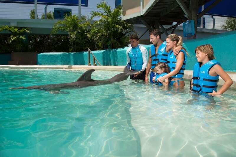 Cancun: Interactive Aquarium - Swim with Dolphins Splash - Ten activities, including the dolphin kiss