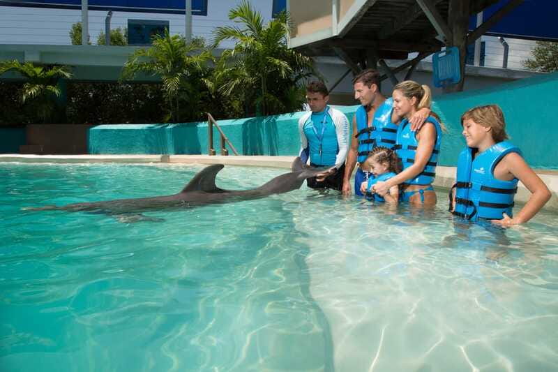 Cancun: Interactive Aquarium - Swim with Dolphins Splash - A small group helps, but the format remains structured