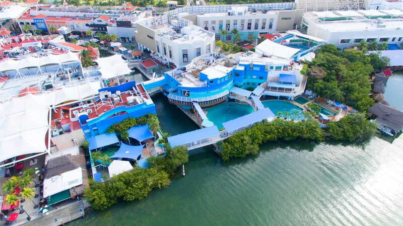 Cancun: Interactive Aquarium - Swim with Dolphins Splash - Cameras are banned in the habitat