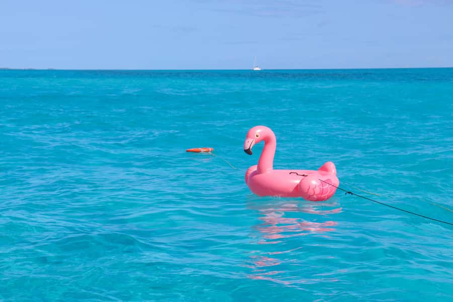 Cancun: Isla Mujeres Full Day Dancer Cruise - Two hours on Isla Mujeres