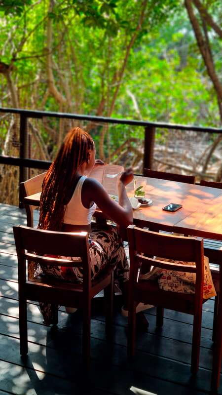 Cancun: Jungle Tour Adventure with Speedboat and Snorkeling - Should you book the Cancun Jungle Tour?