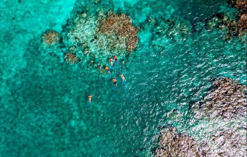 Cancun: Jungle Tour Adventure with Speedboat and Snorkeling - Salbutes offer a small taste of Yucatan