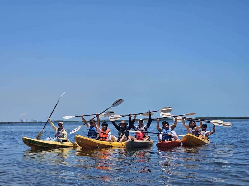 Cancun: Kayaking Tour in Nichupte Lagoon - Wildlife along the narrow channels