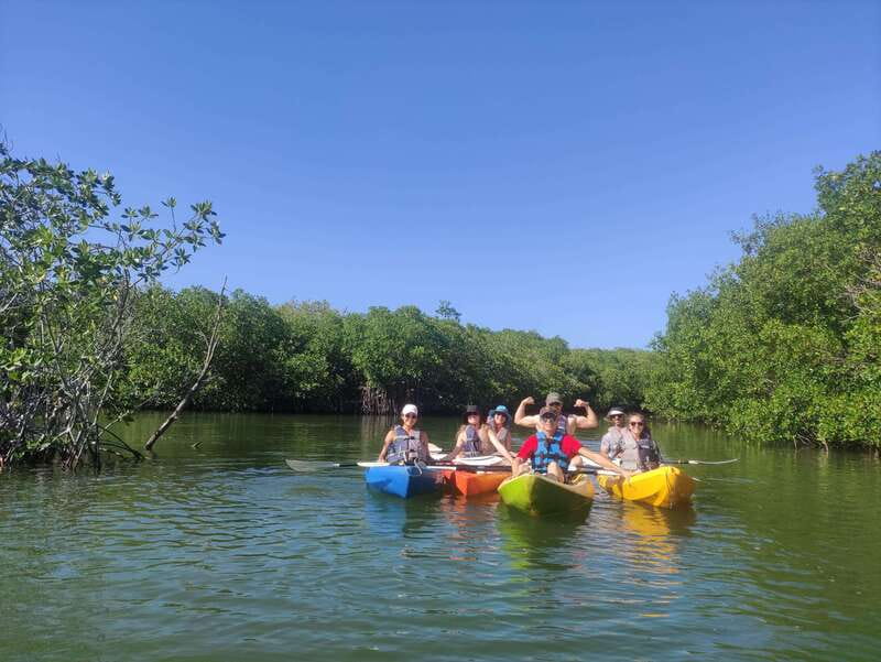 Cancun: Kayaking Tour in Nichupte Lagoon - Choosing morning, midday, or sunset