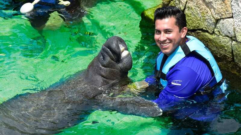 Cancún: Manatee Encounter on Isla Mujeres with Buffet Lunch - Who will enjoy this Isla Mujeres day trip