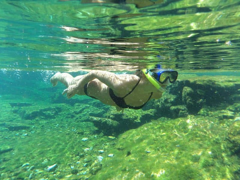 Cancun: Marine Turtle Observation in Akumal - Booking flexibility and small details that matter