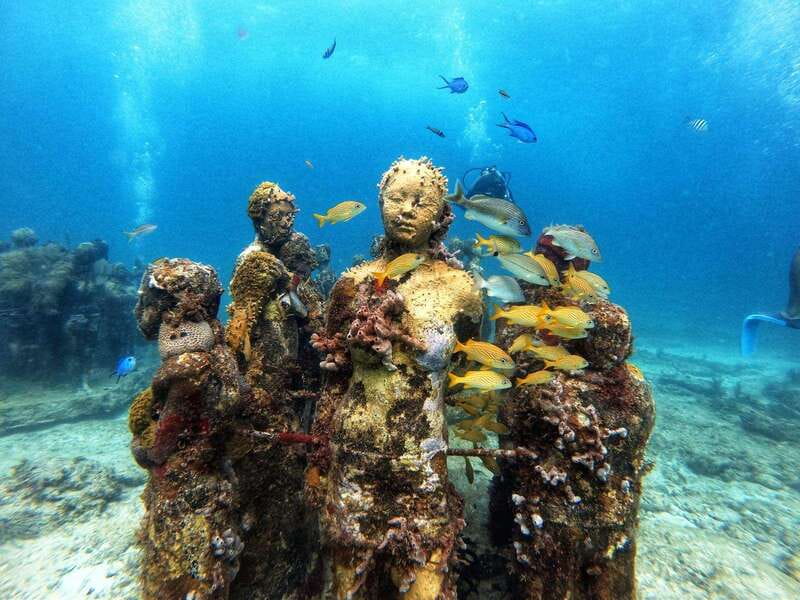 Cancun: Musa Underwater Museum & Reef Discover Scuba Diving - Why MUSA makes this more than a standard reef outing
