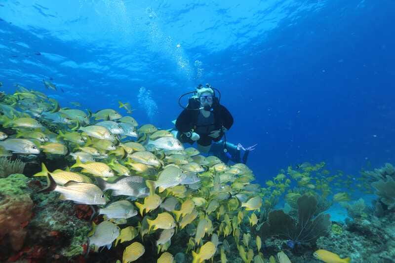 Cancun: Scuba Diving for Beginners, 2 Dives - How safe and beginner-friendly is it?