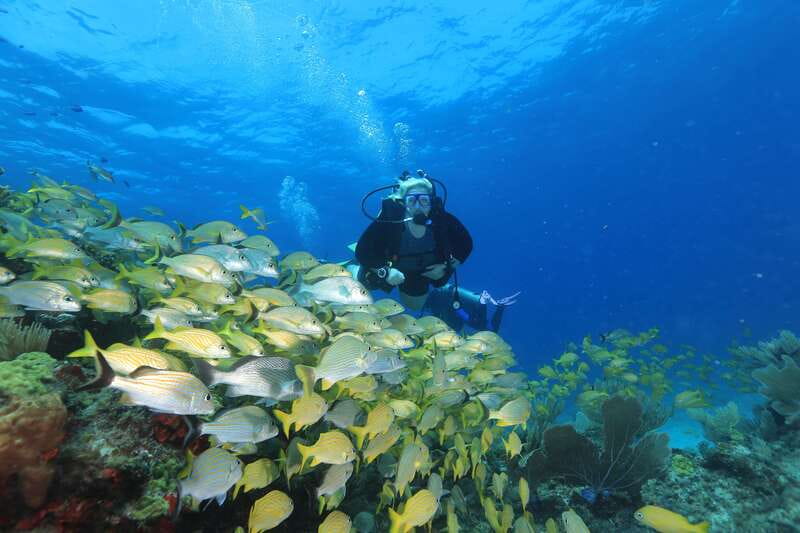 Cancun: Scuba Diving for Beginners, 2 Dives - What the five-hour schedule really means