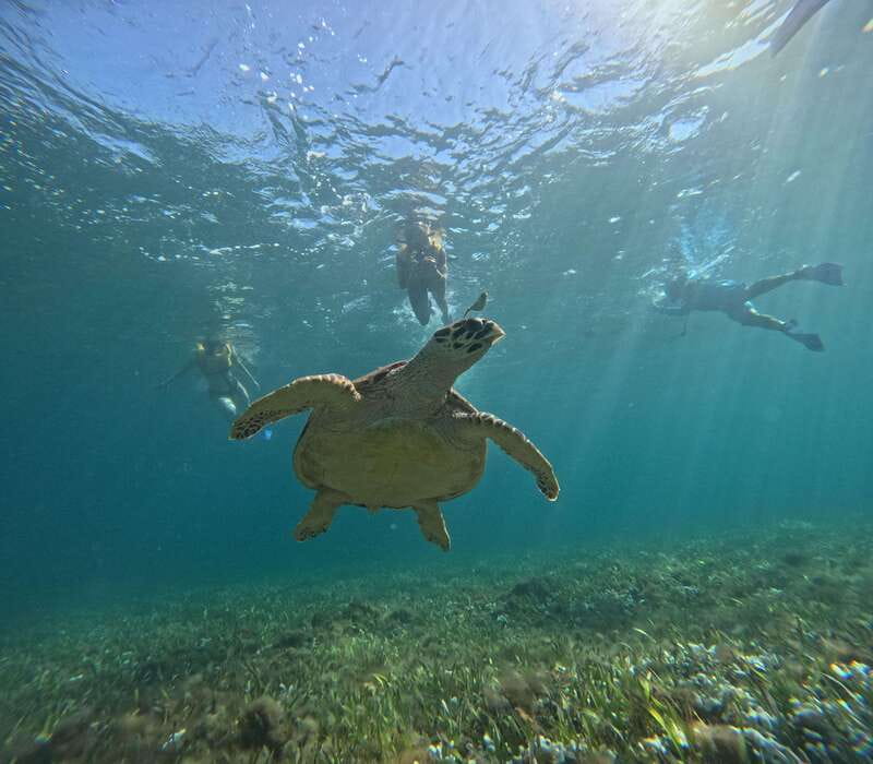 Cancun: Snorkeling Boat Tour with Gear - A fast route through Cancun’s underwater sights